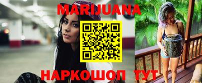 гидра Гай