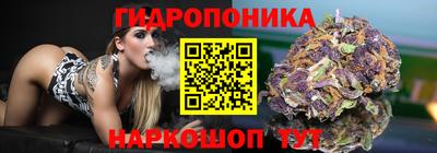 гидра Гай
