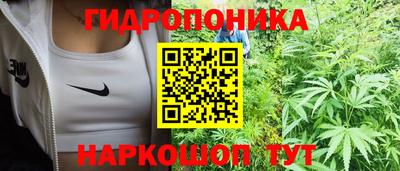 гидра Гай