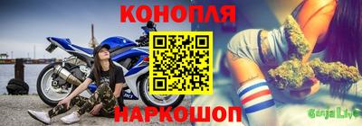 гидра Гай