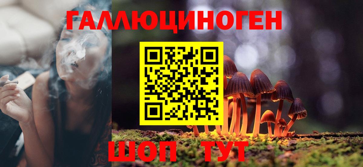 Галлюциногенные грибы MAGIC MUSHROOMS Мурманск