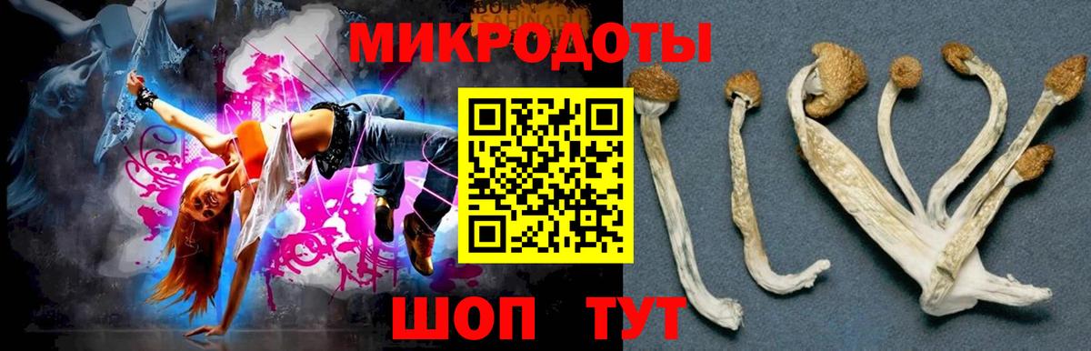 Псилоцибиновые грибы Psilocybine cubensis  Вход с VPN  Мурманск 